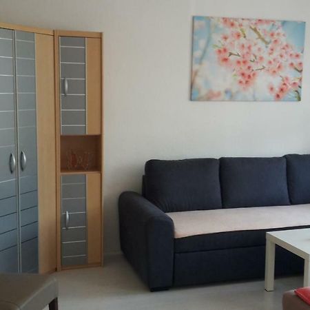 Ferienwohnung "An Der Wuerschnitz" ケムニッツ エクステリア 写真
